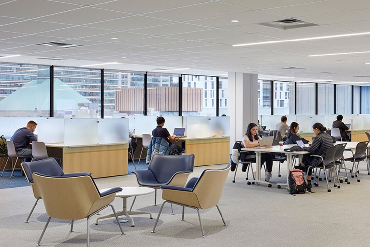 Toronto Metropolitan University Lincoln Alexander School of Law