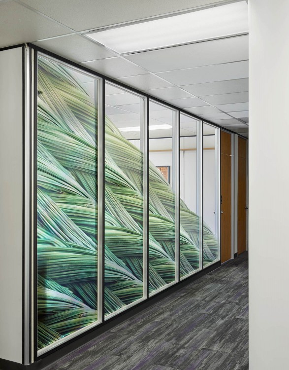 University of Toronto OISE Tkaronto CIRCLE Lab