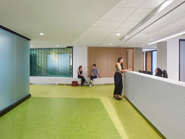 York University Department of Politics