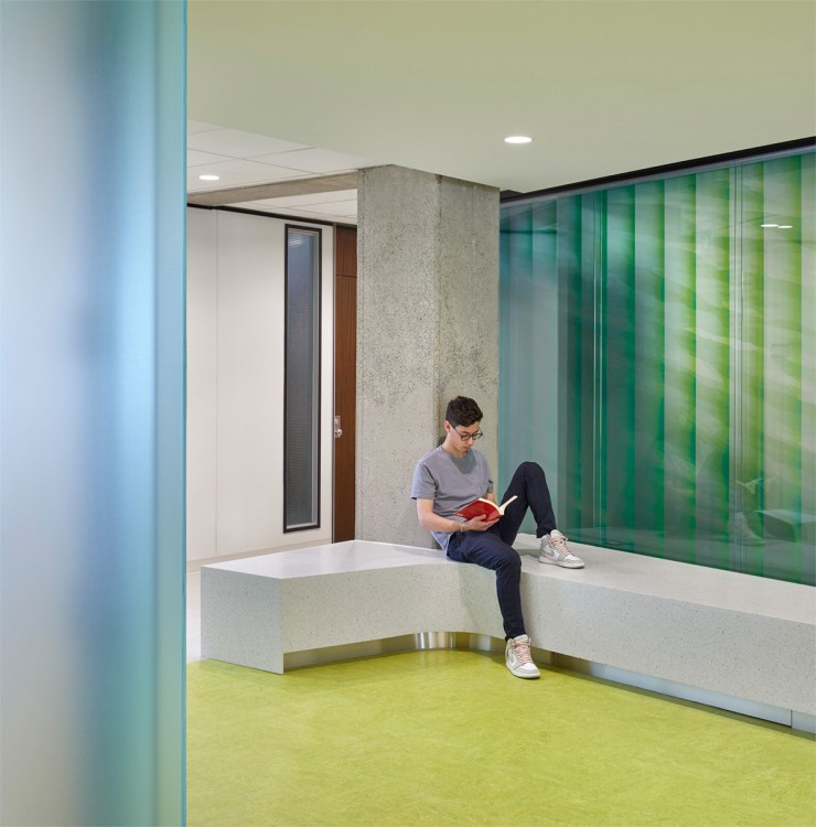 York University Department of Politics