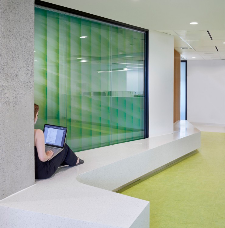 York University Department of Politics