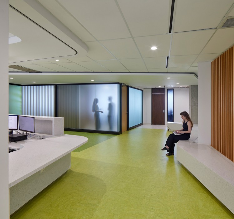 York University Department of Politics