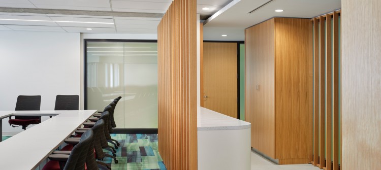 York University Department of Politics