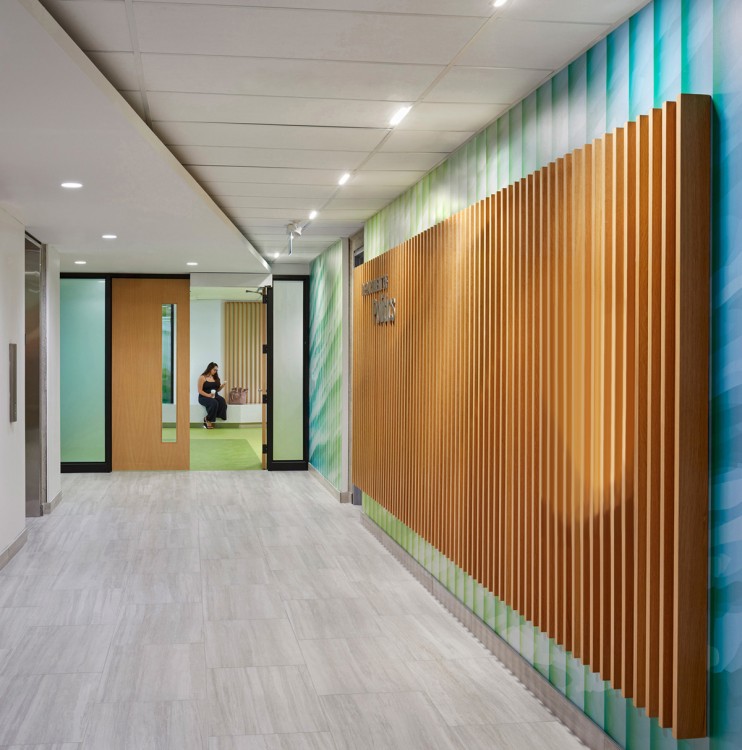 York University Department of Politics