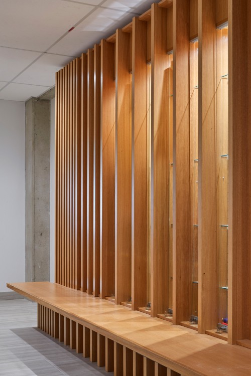 York University Department of Politics