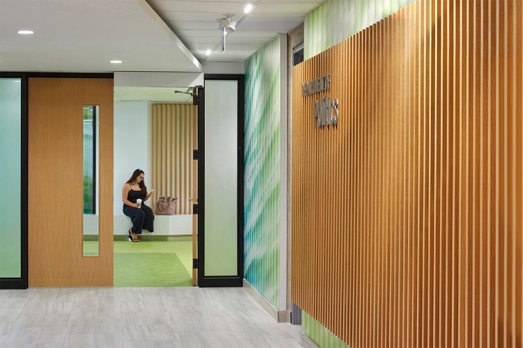 York University Department of Politics