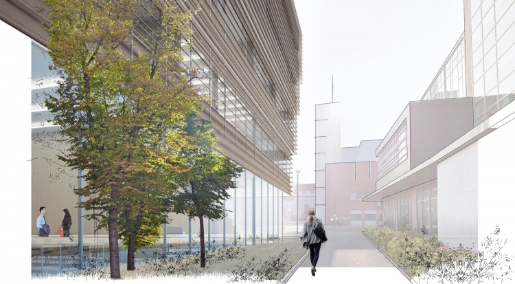 York University School of Continuing Studies Competition