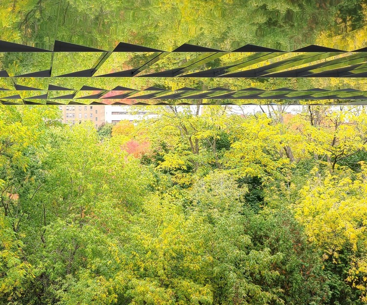 Bloorview Research Institute